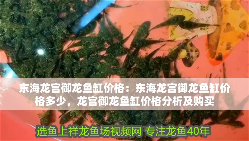 東海龍宮御龍魚缸價格：東海龍宮御龍魚缸價格多少，龍宮御龍魚缸價格分析及購買