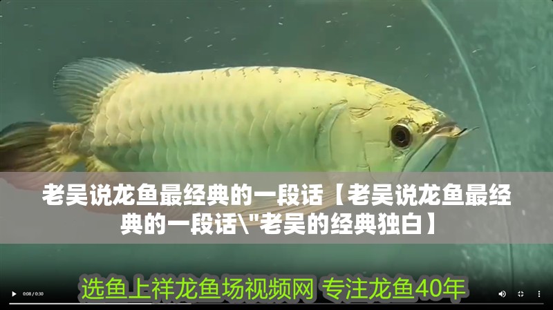 老吳說龍魚最經典的一段話【老吳說龍魚最經典的一段話\