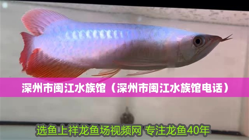 深州市閩江水族館（深州市閩江水族館電話）