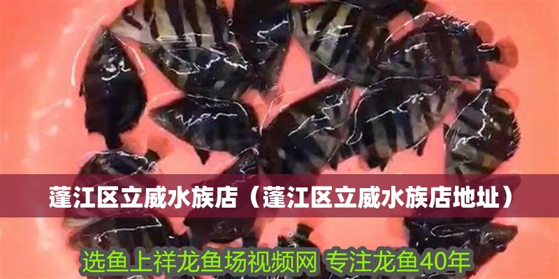 蓬江區立威水族店（蓬江區立威水族店地址）
