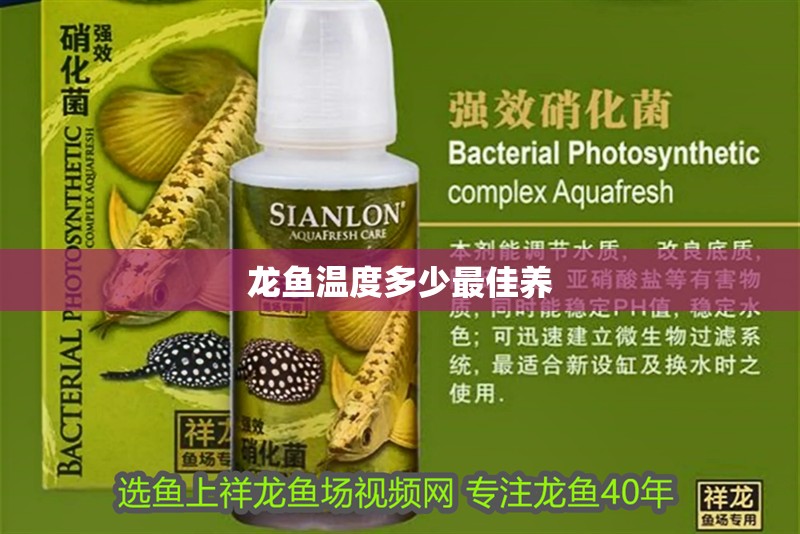 龍魚溫度多少最佳養(yǎng)