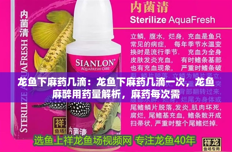 龍魚下麻藥幾滴：龍魚下麻藥幾滴一次，龍魚麻醉用藥量解析，麻藥每次需