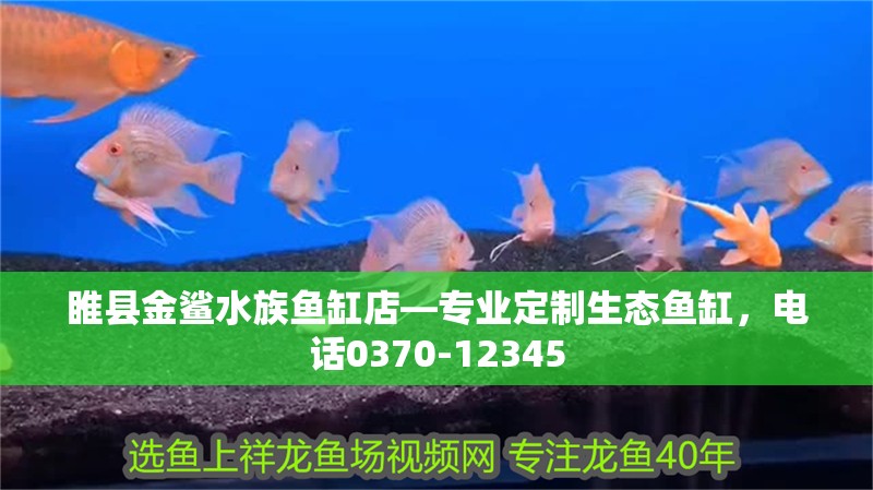 睢縣金鯊水族魚缸店—專業定制生態魚缸，電話0370-12345