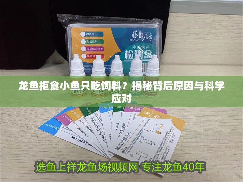龍魚拒食小魚只吃飼料？揭秘背后原因與科學應對