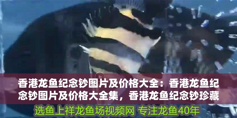 香港龍魚紀(jì)念鈔圖片及價(jià)格大全：香港龍魚紀(jì)念鈔圖片及價(jià)格大全集，香港龍魚紀(jì)念鈔珍藏圖鑒，高清版