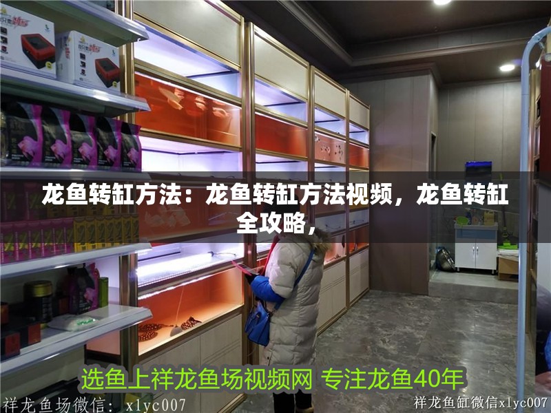 龍魚轉缸方法：龍魚轉缸方法視頻，龍魚轉缸全攻略，