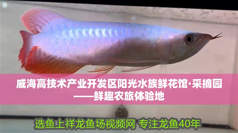威海高技術產業開發區陽光水族鮮花館·采摘園——鮮趣農旅體驗地