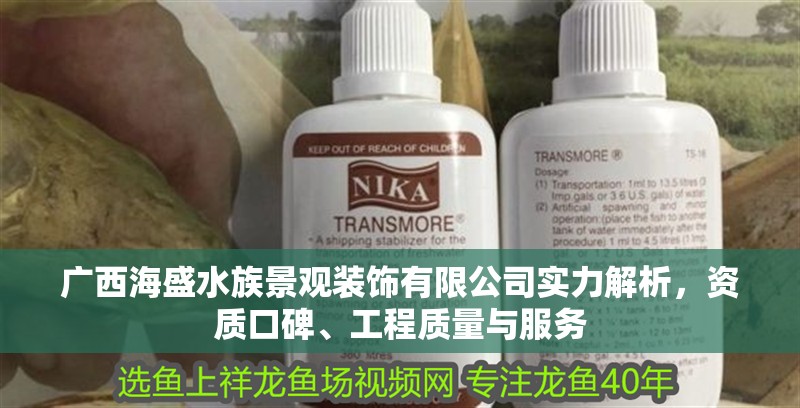 廣西海盛水族景觀裝飾有限公司實力解析，資質口碑、工程質量與服務