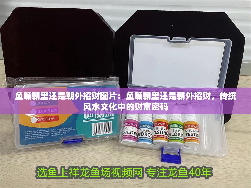 魚嘴朝里還是朝外招財圖片：魚嘴朝里還是朝外招財，傳統(tǒng)風(fēng)水文化中的財富密碼