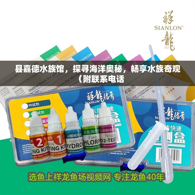 縣嘉德水族館，探尋海洋奧秘，暢享水族奇觀（附聯(lián)系電話