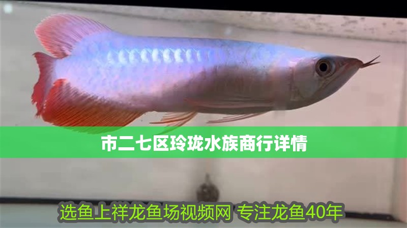 市二七區玲瓏水族商行詳情