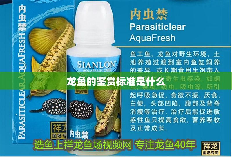 龍魚的鑒賞標準是什么