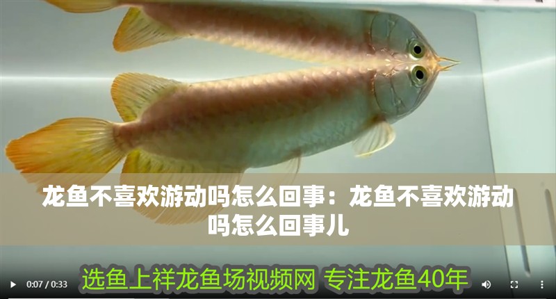 龍魚不喜歡游動嗎怎么回事：龍魚不喜歡游動嗎怎么回事兒