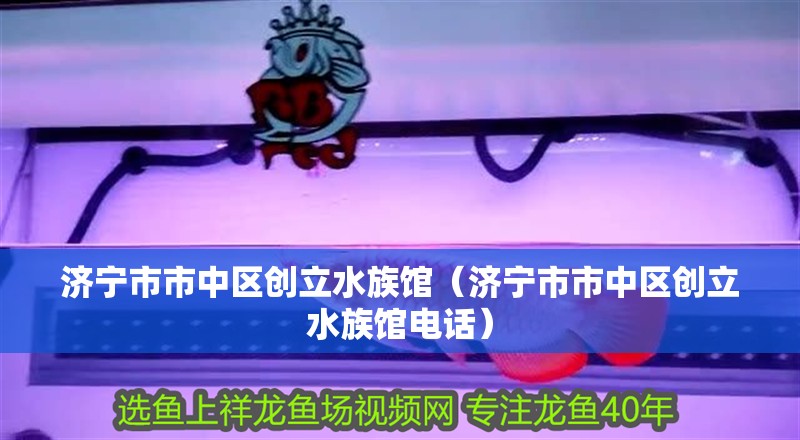 濟寧市市中區創立水族館（濟寧市市中區創立水族館電話）