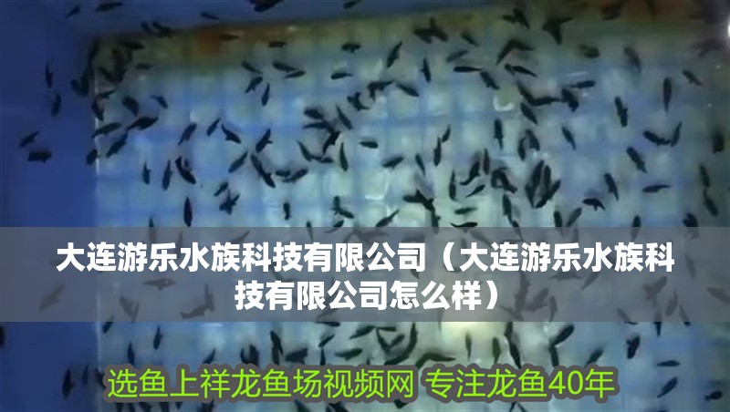 大連游樂水族科技有限公司（大連游樂水族科技有限公司怎么樣）