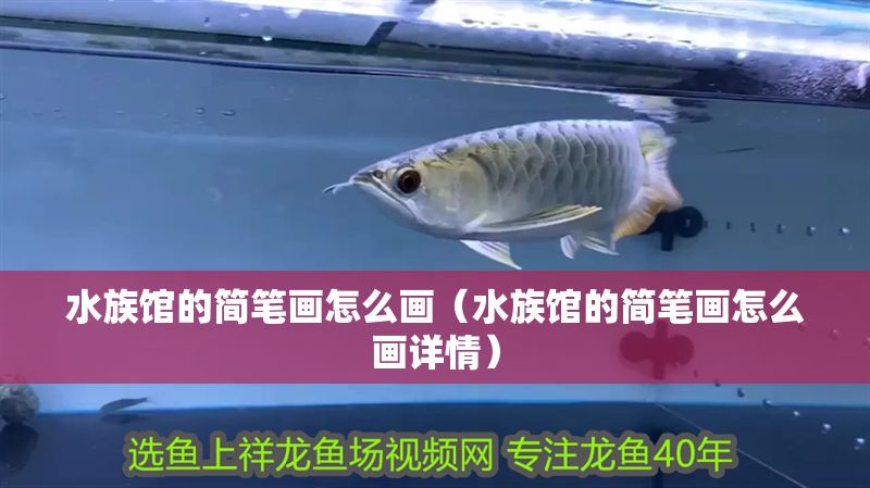 水族館的簡(jiǎn)筆畫怎么畫（水族館的簡(jiǎn)筆畫怎么畫詳情）