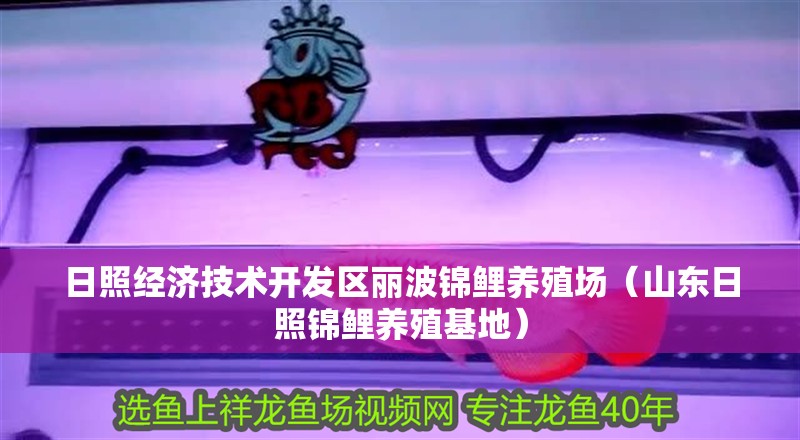 日照經濟技術開發(fā)區(qū)麗波錦鯉養(yǎng)殖場（山東日照錦鯉養(yǎng)殖基地）