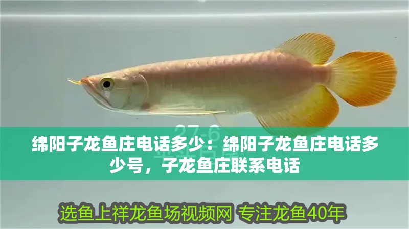 綿陽子龍魚莊電話多少：綿陽子龍魚莊電話多少號，子龍魚莊聯系電話