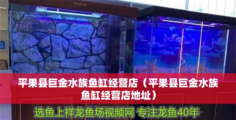 平果縣巨金水族魚缸經營店（平果縣巨金水族魚缸經營店地址）