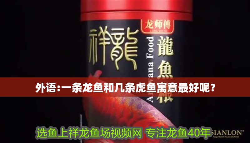 外語:一條龍魚和幾條虎魚寓意最好呢？ 外語:一條龍魚和幾條虎魚寓意最好呢？ 虎魚百科