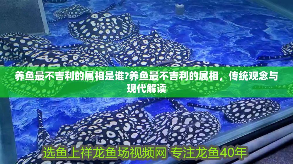 詳細閱讀:養魚最不吉利的屬相是誰?養魚最不吉利的屬相,傳統觀念與現代解讀 養魚最不吉利的屬相是誰?養魚最不吉利的屬相,傳統觀念與現代解讀