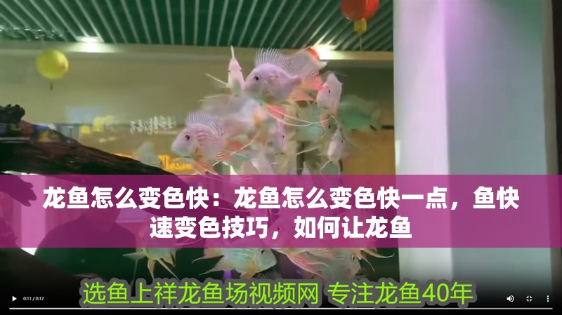 龍魚怎么變色快：龍魚怎么變色快一點，魚快速變色技巧，如何讓龍魚