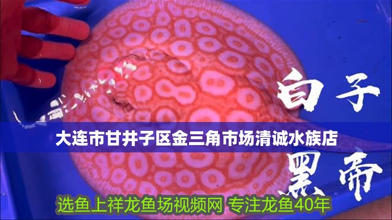 大連市甘井子區金三角市場清誠水族店