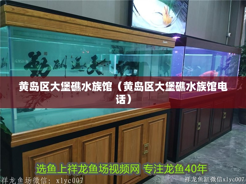 黃島區(qū)大堡礁水族館（黃島區(qū)大堡礁水族館電話）