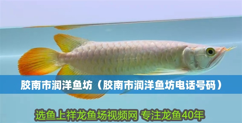 膠南市潤(rùn)洋魚坊（膠南市潤(rùn)洋魚坊電話號(hào)碼）