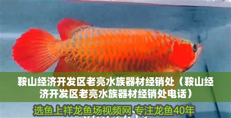 鞍山經濟開發區老亮水族器材經銷處（鞍山經濟開發區老亮水族器材經銷處電話）