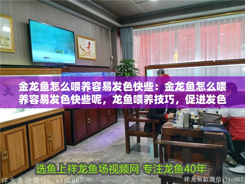 金龍魚怎么喂養(yǎng)容易發(fā)色快些：金龍魚怎么喂養(yǎng)容易發(fā)色快些呢，龍魚喂養(yǎng)技巧，促進發(fā)色與