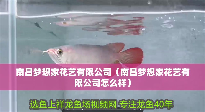 南昌夢想家花藝有限公司（南昌夢想家花藝有限公司怎么樣）