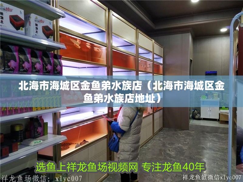 北海市海城區金魚弟水族店（北海市海城區金魚弟水族店地址）