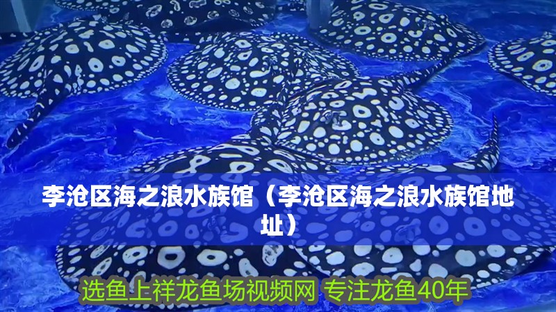 李滄區海之浪水族館（李滄區海之浪水族館地址）