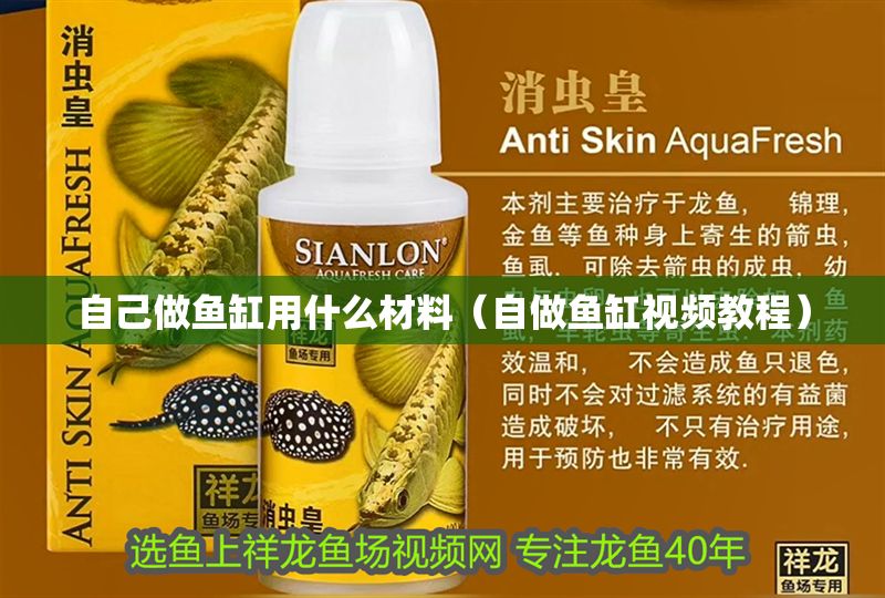 自己做魚缸用什么材料（自做魚缸視頻教程）