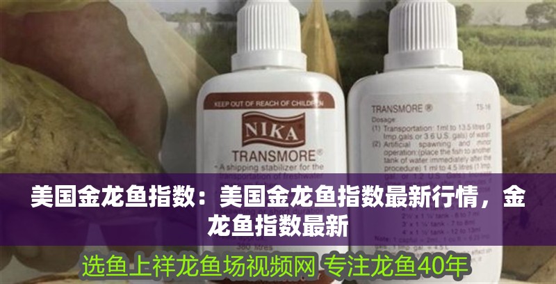 美國金龍魚指數：美國金龍魚指數最新行情，金龍魚指數最新
