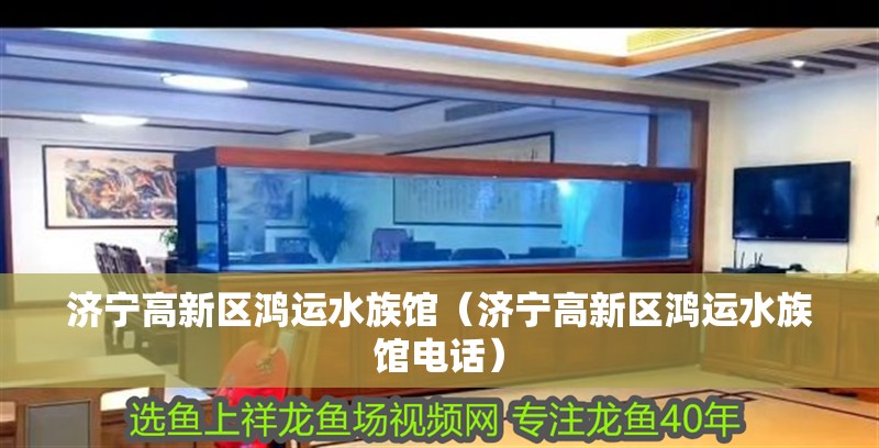 濟寧高新區(qū)鴻運水族館（濟寧高新區(qū)鴻運水族館電話）