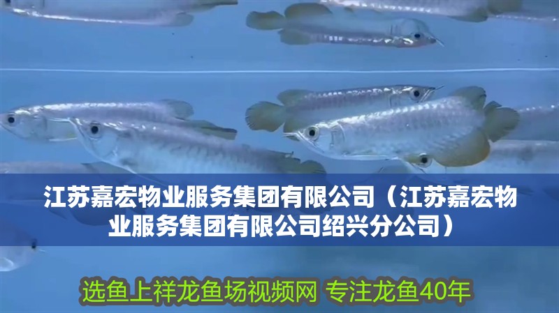 江蘇嘉宏物業服務集團有限公司（江蘇嘉宏物業服務集團有限公司紹興分公司）