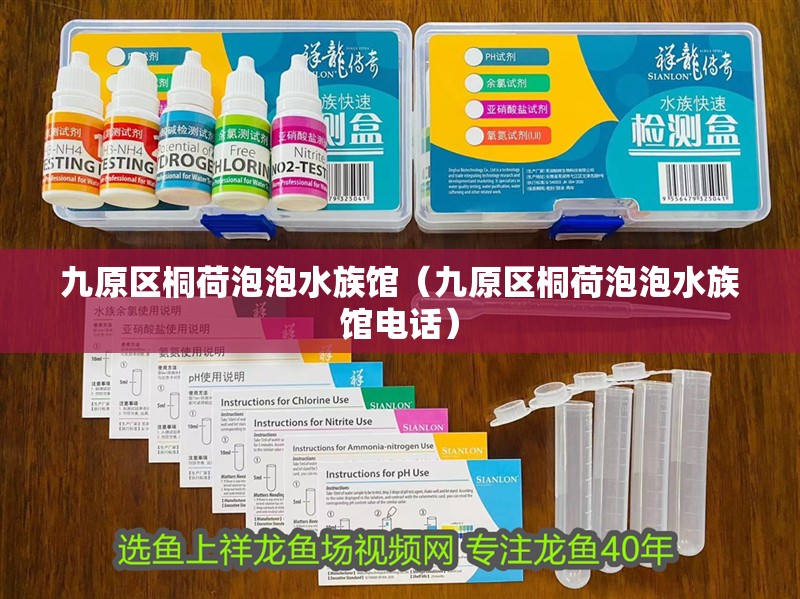 九原區桐荷泡泡水族館（九原區桐荷泡泡水族館電話）