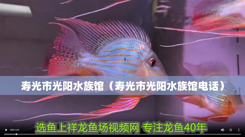 壽光市光陽水族館（壽光市光陽水族館電話）