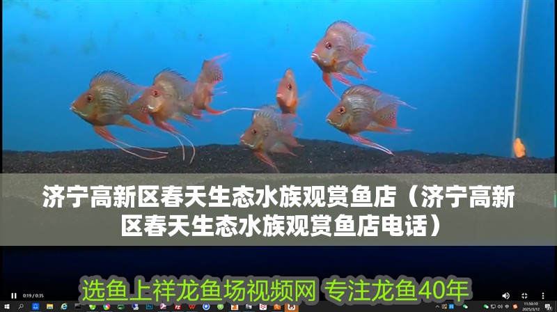 濟(jì)寧高新區(qū)春天生態(tài)水族觀賞魚店（濟(jì)寧高新區(qū)春天生態(tài)水族觀賞魚店電話）