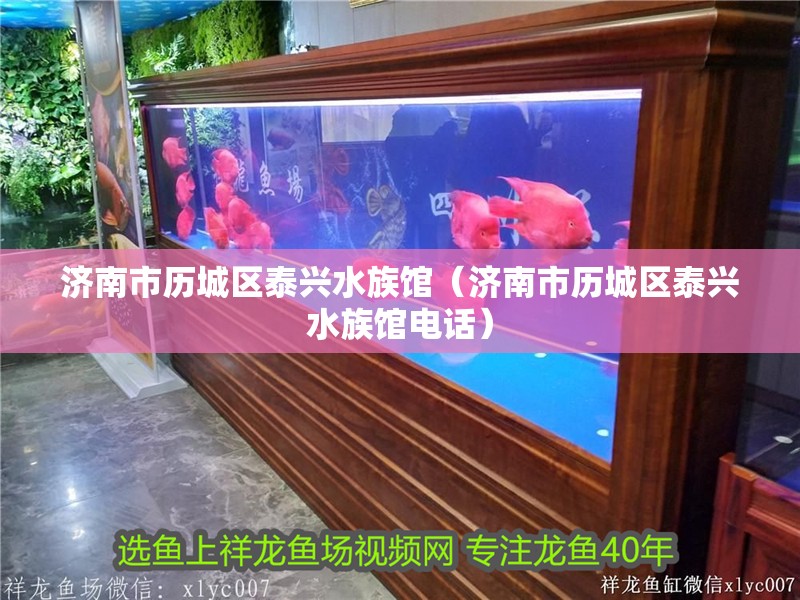 濟南市歷城區泰興水族館（濟南市歷城區泰興水族館電話）