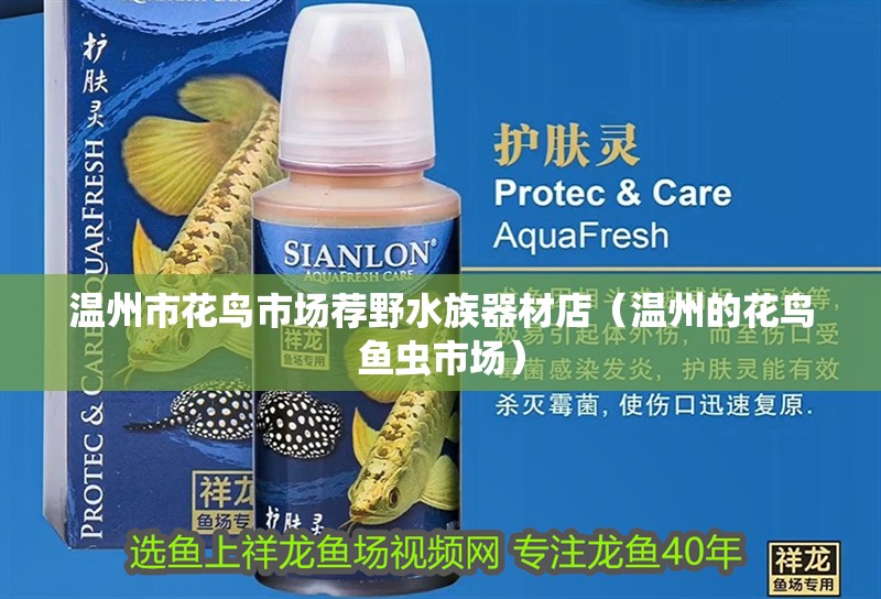 溫州市花鳥市場薦野水族器材店（溫州的花鳥魚蟲市場）