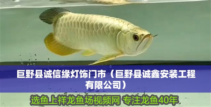 巨野縣誠信緣燈飾門市（巨野縣誠鑫安裝工程有限公司）