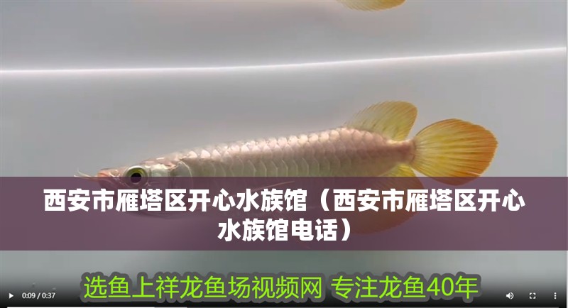 西安市雁塔區開心水族館（西安市雁塔區開心水族館電話）