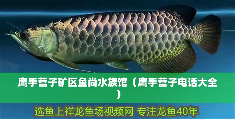 鷹手營子礦區(qū)魚尚水族館（鷹手營子電話大全）