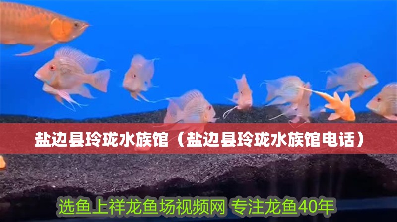 鹽邊縣玲瓏水族館（鹽邊縣玲瓏水族館電話）