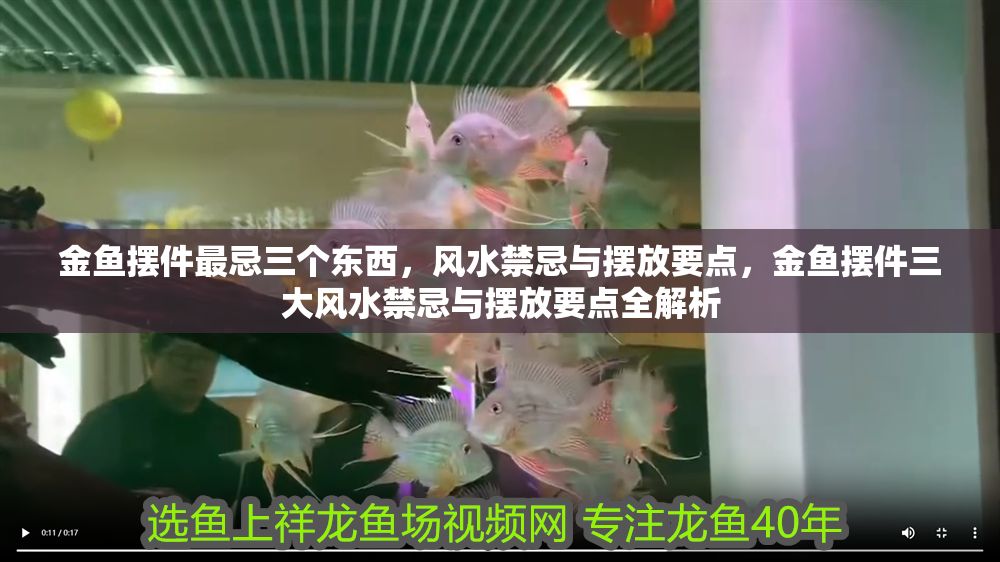 金魚擺件最忌三個東西，風水禁忌與擺放要點，金魚擺件三大風水禁忌與擺放要點全解析