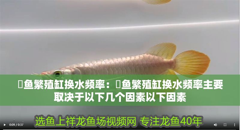 魟魚繁殖缸換水頻率：魟魚繁殖缸換水頻率主要取決于以下幾個因素以下因素