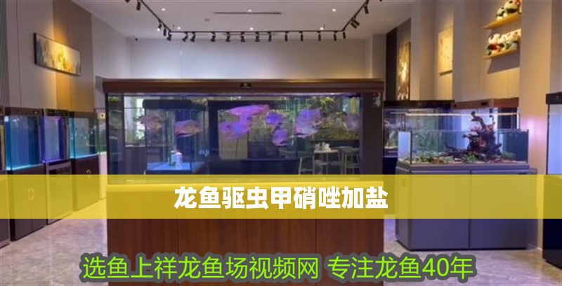 龍魚驅蟲甲硝唑加鹽